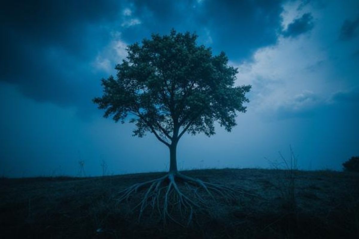 Stabilität und Wachstum